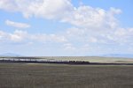 BNSF 5268 West